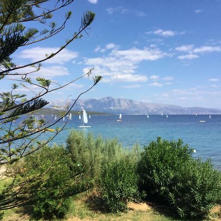Lefkada Beachfront Apartment Никиана Екстериор снимка